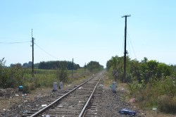 The last gap in the fence: railway track at the Hungarian-Serbian border.
