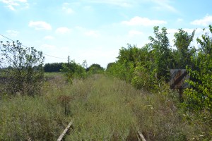 Same location in September 2016 (photo: Orange Files).