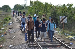 Migrants travel along defunct railway in northern Serbia on September 15, 2015 (photo: Orange Files).